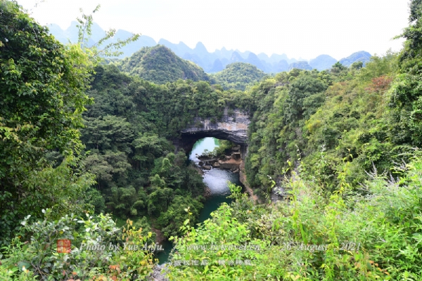 鹿寨香桥岩溶国家地质公园