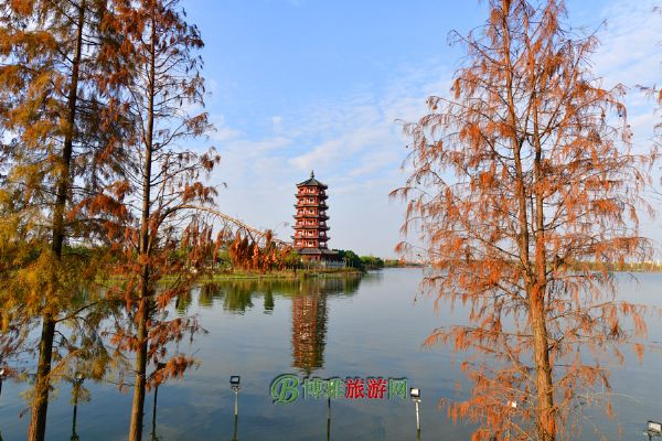 华阳湖湿地公园