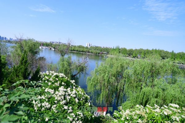 据考证，襄阳城始筑于西汉高帝六年（公元前201年），完善于宋朝，筑城的同时开凿了护城河。城池南北长约1．7公里，东西宽1．5公里，护城河宽180米、水面91万平方米，是全国最宽的人工护城河，有“华夏第一城池”之称。